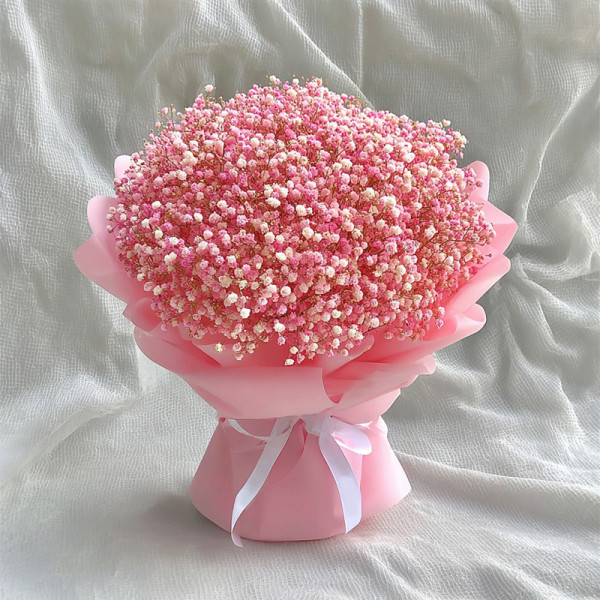 Veil of Dusk — Pink Baby’s Breath Serenade